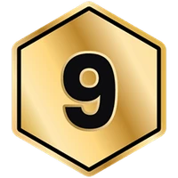 level image